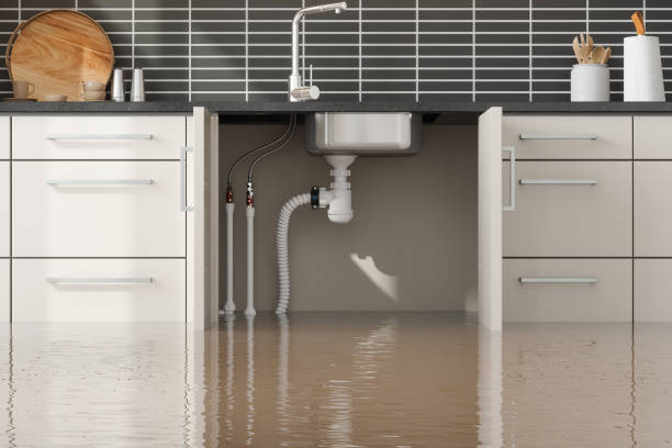 Nellis Af, NV Water damage restoration Company